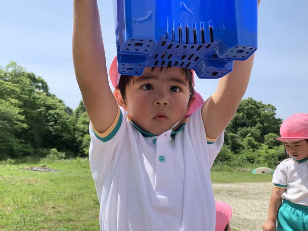 negai_02